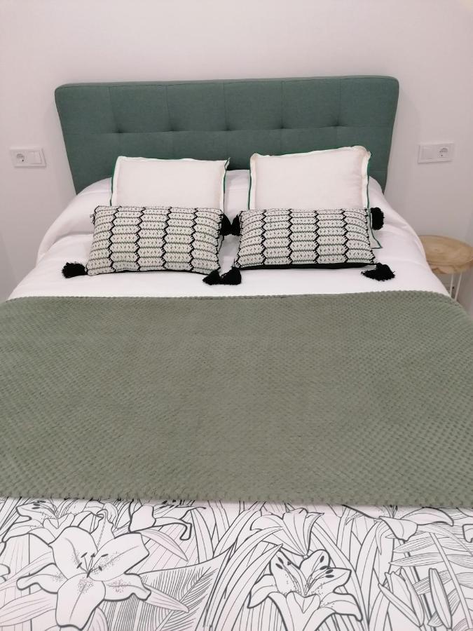 Piso Deluxe En El Centro Con Ascensor Apartment Castro Urdiales Bagian luar foto